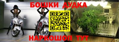 твердый Краснодар