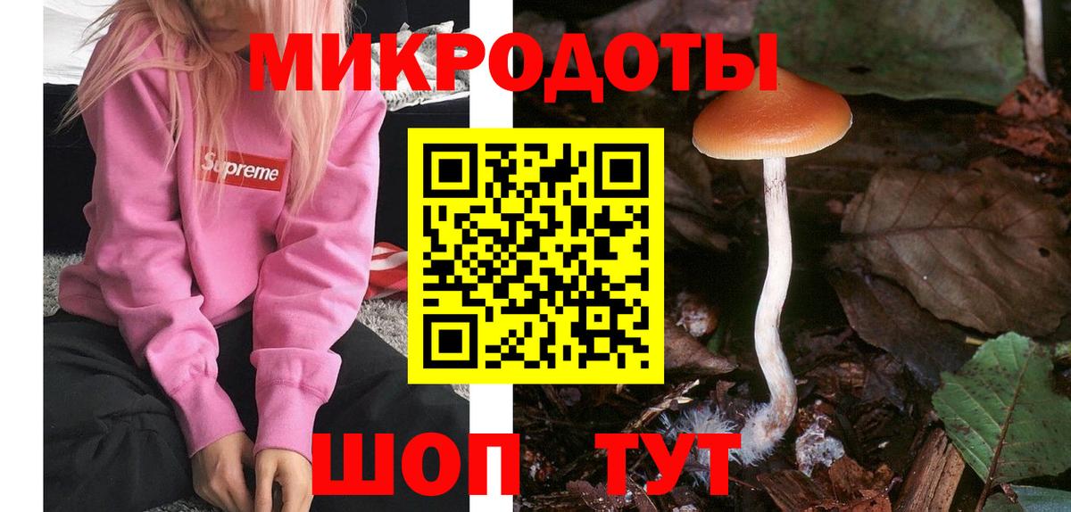 Галлюциногенные грибы MAGIC MUSHROOMS  Вход с VPN  Псилоцибиновые грибы Cubensis  Кизилюрт 